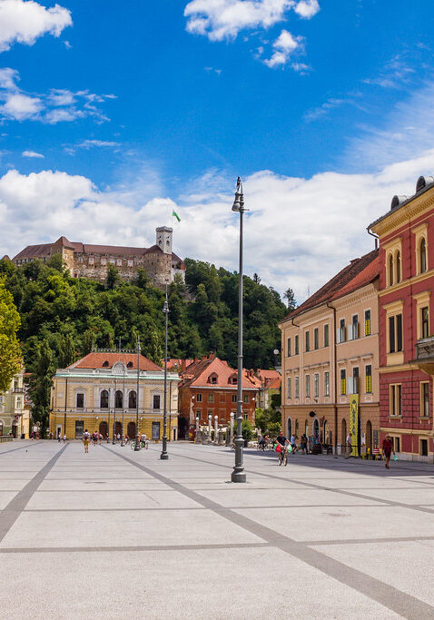 35752957383 3ed50c2bd3 b